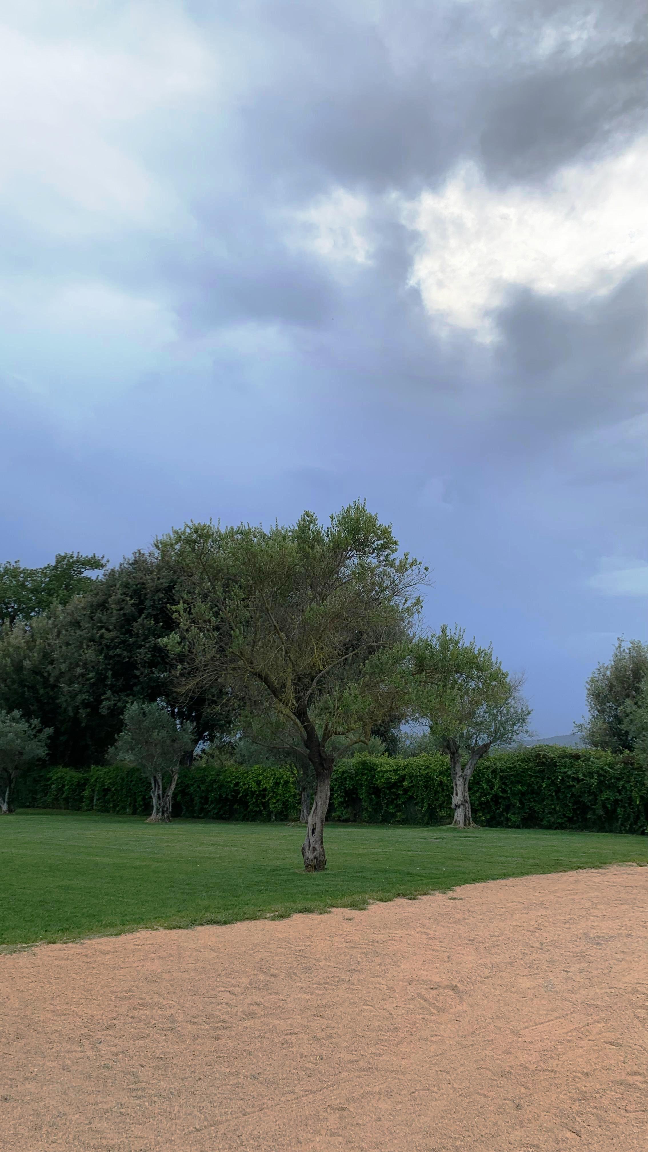The grounds of Castell d'Empordà